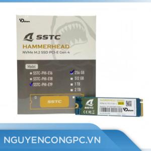 Ổ Cứng SSD 256GB SSTC Oceanic Whitetip E19 M.2 NVME PCIe Gen4 (SSTC-PHI-E19256)