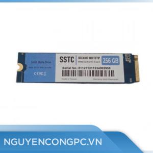 Ổ cứng SSD 256GB SSTC Oceanic Whitetip NVMe M2 PCI-e Gen 3 (SSTC-PHI-E13256)